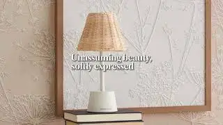 New walls that set the mood of a space.