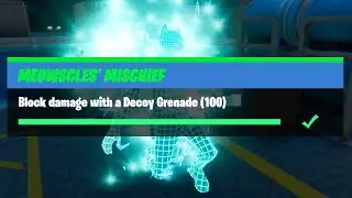 Block Damage with a Decoy Grenade (100) - Fortnite Meowscles' Mischief Challenges