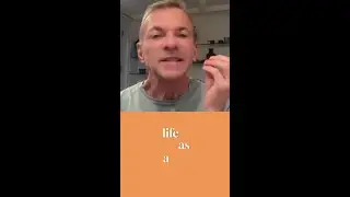 &ldquo;Your Life Is a Movie: Discover the Hidden Scripts Shaping Your Story&rdquo;