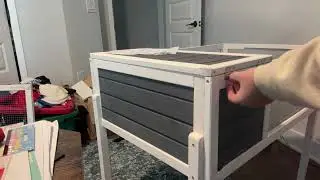 Building this Wood Tortoise House! - BIRASIL Overview! #ad #amazoninfluencer