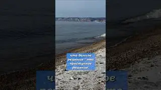 Правительство убивает Байкал. Новый закон о массовых вырубках леса #байкал #россия #путин
