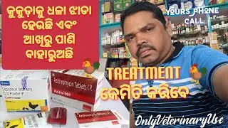 Kukudaku White Latrin & Ankhi ru Pani baharuchhi 🐓 How to Treatment #Aziriv500 #Lixen #Powder 