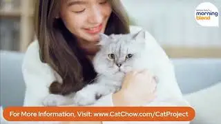 Purina Cat Chow Launches 'Cats as Therapy' Project to Support Mental Health