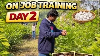 On job training Day 2/sericulture/ ASHISH vlogs