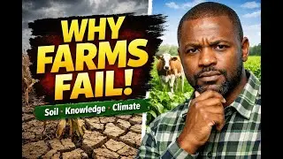 Why Crops and Animals Fail: Soil, Knowledge & Climate Mistakes Farmers Ignore