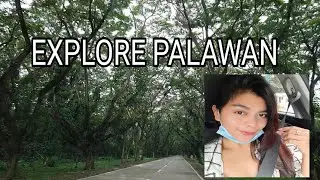 EXPLORE PALAWAN PHILIPPINES  A DAY TRIP TO ABORLAN || ACACIA FOREST Puerto Princesa Travel road trip