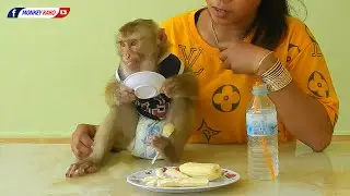 Awesome Monkey | Obedient Baby Kako Eating Boiled Potato With Milk