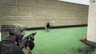 Gta v online CRAZY DEATHMATCH WITH FRIENDS