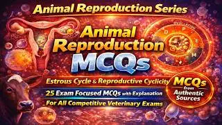 Animal Reproduction MCQs | Estrous Cycle, Follicular & Luteal Phase |Veterinary Exam Preparation