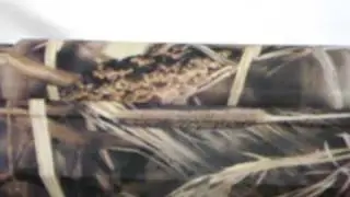 Benelli Super Black Eagle Dipped by Tarjac