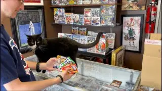 CRAZY SOCK PATCH! RANDOM PACK OPENING AT THE CARD SHOP! **AUTO**