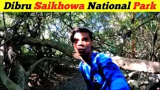 Dibru Saikhowa National Park Tinsukia Assam | Assam Vlog