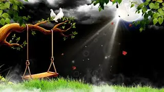 Falling Leaves Black Screen Background Video Effects HD | Falling Leaves Animation 2024