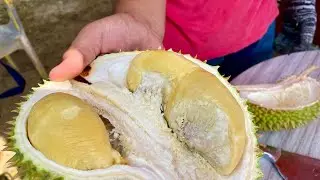 Durian 2021 - Malaysian Favourite