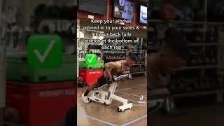 How to Incline Row (PROPERLY)