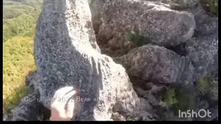 BEAR ATTACKS MOUNTAIN CLIMBER 🐻#mountains #climbing #bear #wildlife#iran #russia #ukraine #news