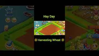 Harvesting Wheat | Hay Day Gameplay | Level 116 #hayday #supercell #gameplay #farm #farming #like