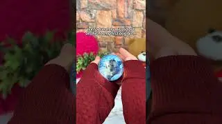 Best gift for a dog owner❤️ #dogs #doglover #memories #gifts #christmas