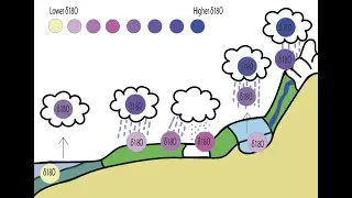 Oxygen Isotopes in the Water Cycle