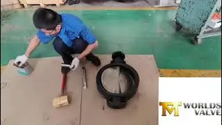 BUTTERFLY VALVE ASSEMBLING PROCEDURE WAFFER TYPE BIG SIZE REPLACEBLE SEAT