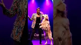 rap battle with her 🐶  #puppy#rapmusic#rapbattles#dogshorts#pup