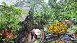 Village cooking and village lifestyle - Fresh fish for traditional recipe on Rainy day 