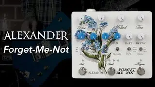 Alexander Pedals: Forget Me Not // Stereo Multi-Tap Delay/Reverb