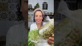 Os diferentes tipos de brotos da Alimenta&ccedil;&atilde;o Viva