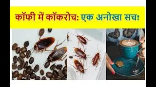 ☕ Coffee Lovers सावधान! कॉफी में कॉकरोच का राज़ 🪳I bitter Truth Must know