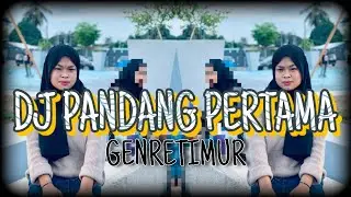 DJ PANDANG PERTAMA GENRETIMUR FYP SONG REMIX BY (IRFANREMIXER)