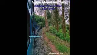 Nilgiri Mountain Train / Awesome View 🚂🚃🚃🚃🚃 #shortsfeed