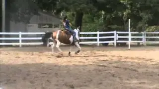 Dawn biwrangle