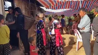 Mus noj dab Cai tshoob Pem pham lav lawm o🙏🙏❤️