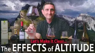 High Altitude Wine: Is It Really Better?