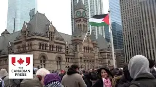 Palestinian flag raised at Toronto City Hall