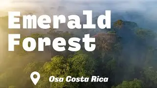 Emerald Forest Property in Costa Rica