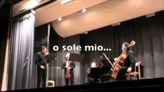 Musici Volanti-Heimberg 2014
