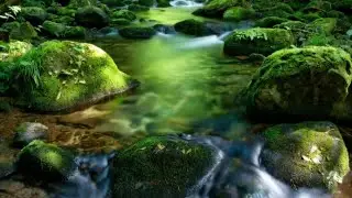 ASMR RIVER RILEX DEEP SLEEP