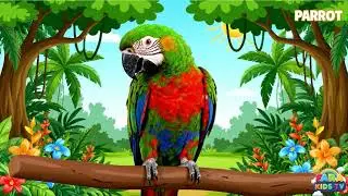 Parrot Sound & Talk! 🦜 | Learn About Parrots for Kids | Tropical Birds for Toddlers & Preschoolers