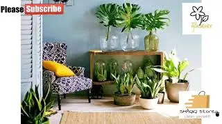 #lavender Garden decor ideas!