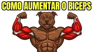 BICEPS GIGANTE! faça isso no seu próximo treino.