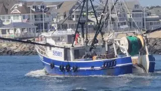 Amber Waves In The Inlet - Many Beautiful Commercial Party Boats - September 12th, 2025