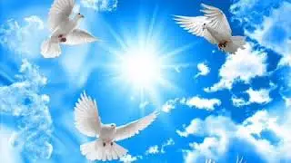 Fly Away - Meditation music A Sweet Angelic Experience