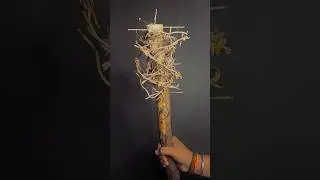 Making Survival Weapon #survival #craft # #diy #creative #creativesurvival #shortvideo #viralvideo