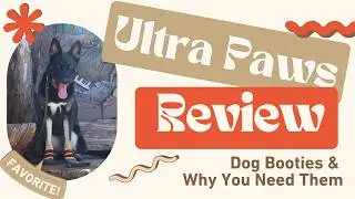 Dog Booties & Why You Need Them - Ultra Paws Dog Boots Review