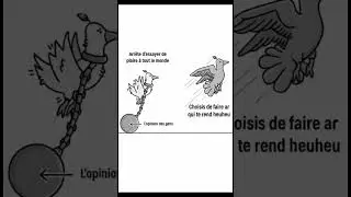 5 images qui vont te motiver #entra&icirc;nement #coach #performance #perseverance #am&eacute;lioration #2026
