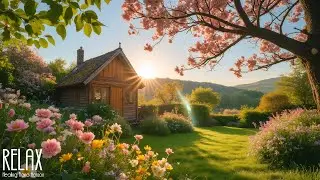 Healing Nature Piano 🌲 Beautiful Calm for Stress Relief & Mindful Relaxation