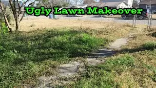 Free Lawn Makeover for this Ugly Yard | No Mow in Months