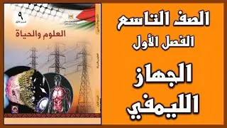 شرح و حل أسئلة درس الجهاز الليمفي  |  العلوم | الصف التاسع  | الفصل الأول