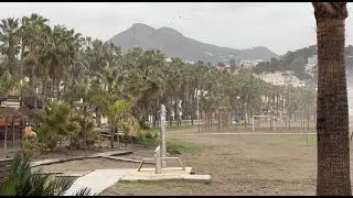 MALAGA LIVE ( January 28, 2026)